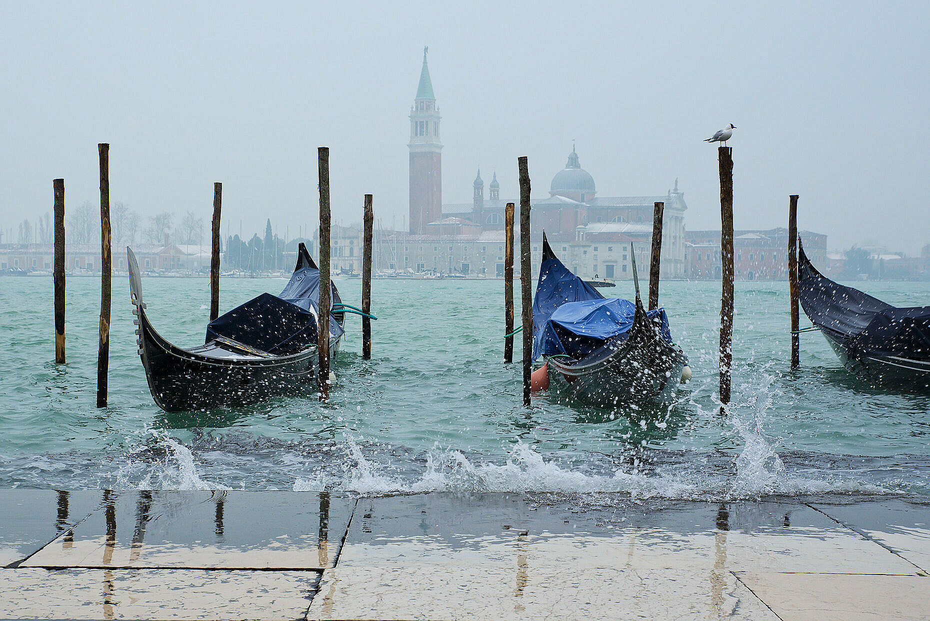 Three gondolas bouncing in the waves at St. Mark's square on a winter day.