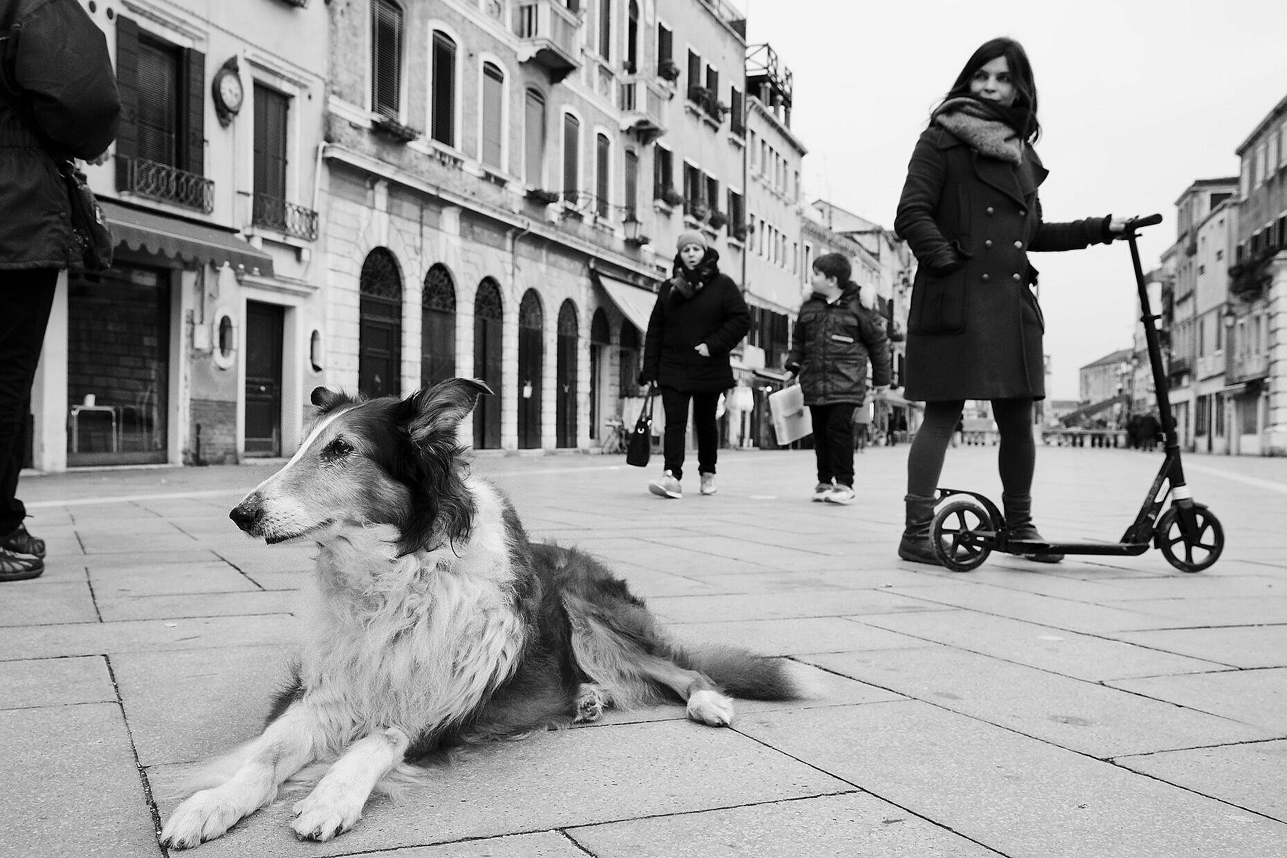 Penny, our scotch collie, having a rest in the Via Garibaldi.