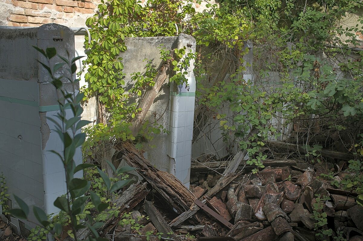 Overgrown and collapsed ruins on Poverglia
