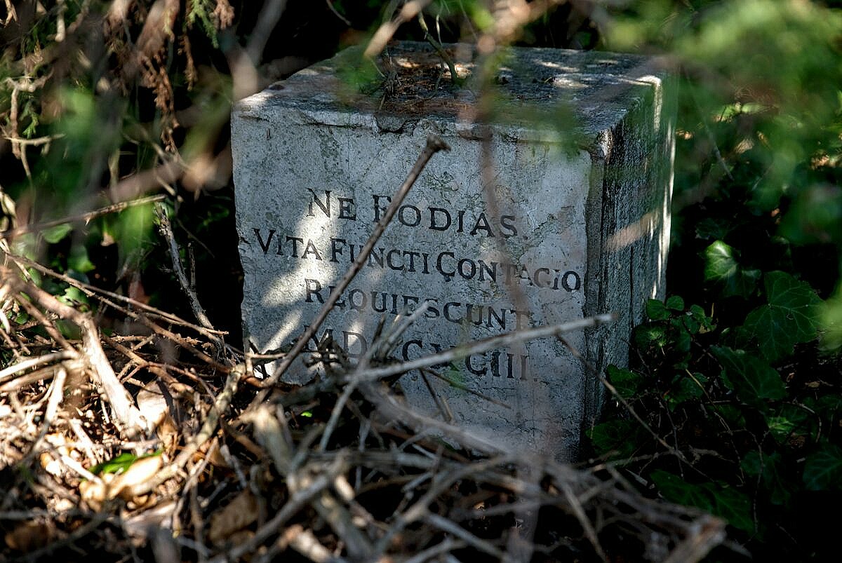 The famous plague stone at Poveglia